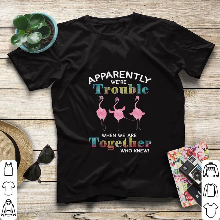 Flamingos apparently we’re trouble when we are together who knew shirt