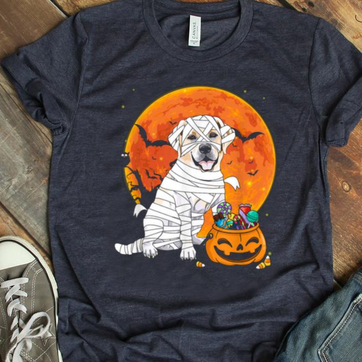 Original Labrador Retriever Dog Candy Pumpkin Halloween Gifts shirt