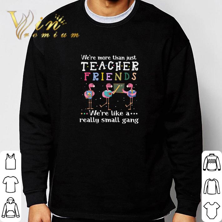 We're like a Flamingos we're more than just teacher friends shirt