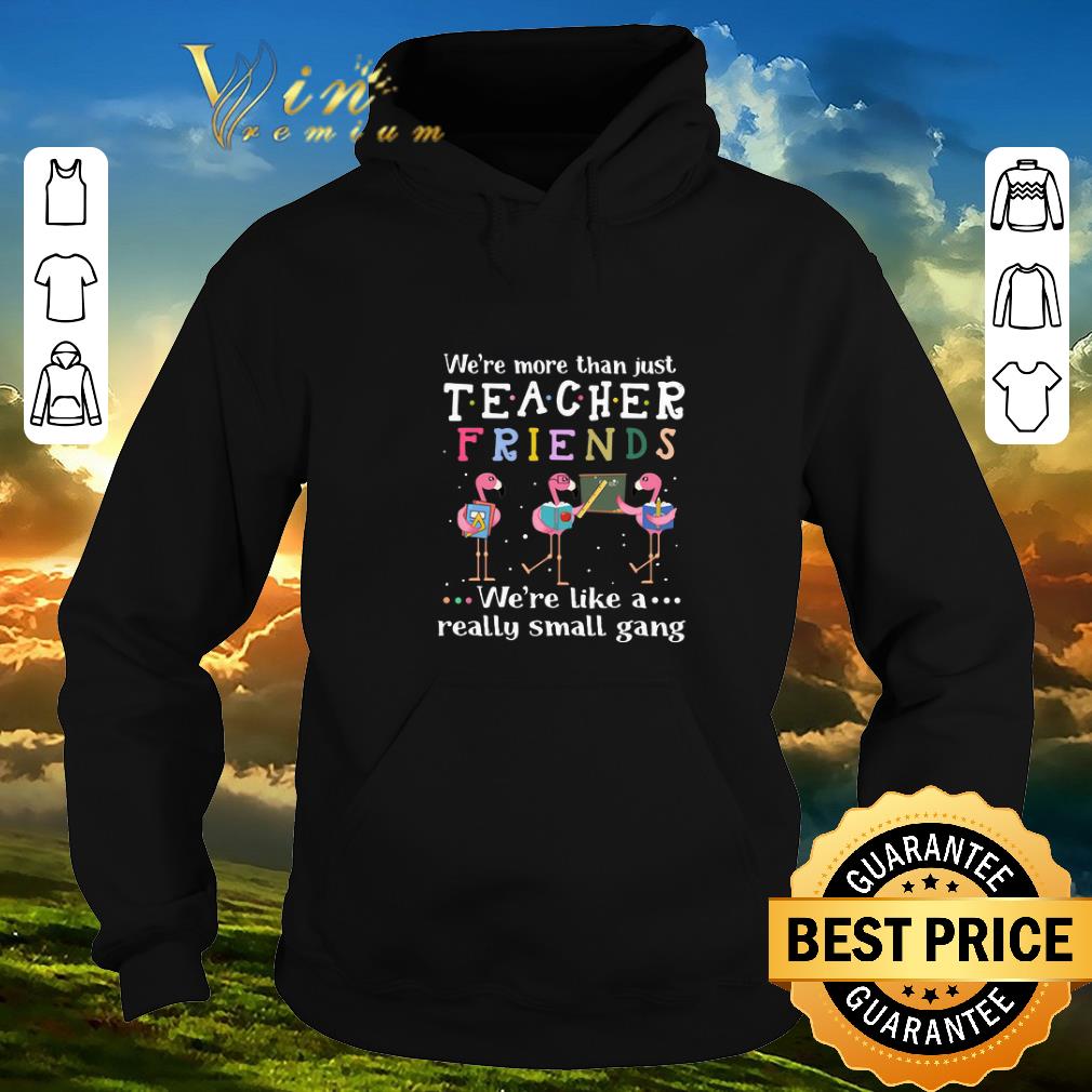 Awesome Flamingos we're more than just teacher friends we're like a shirt sweater
