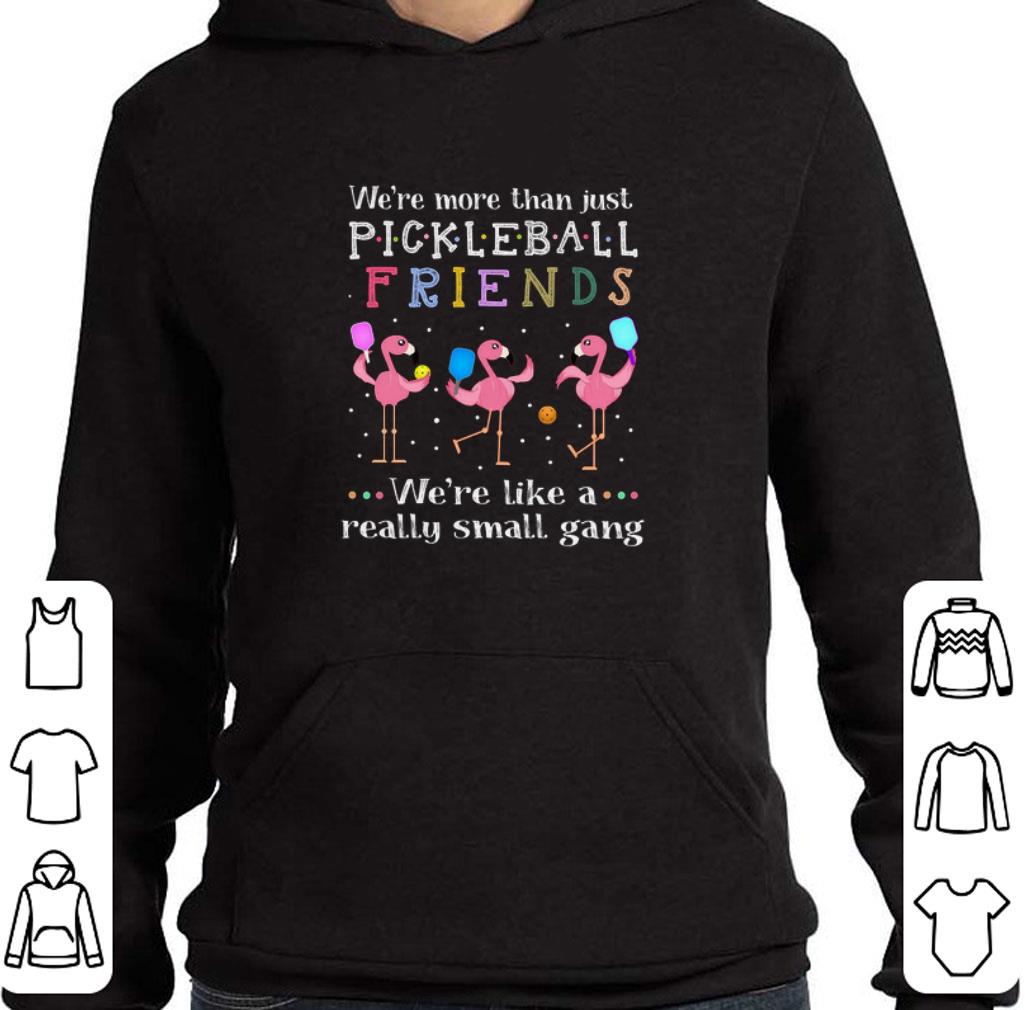 Funny Flamingo we're more than just pickleball friends we're like a shirt 6 Funny Flamingo we're more than just pickleball friends we're like a shirt