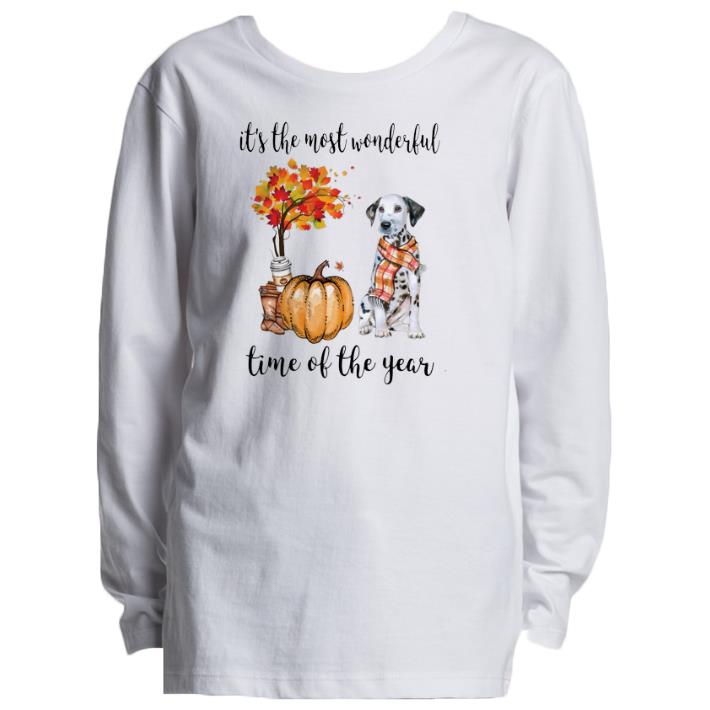 Pretty Dalmatian & Pumpkin it's the most wonderful time of the year shirt sweater
