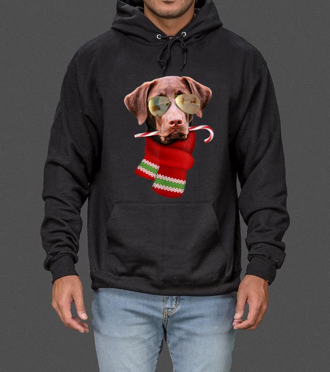 Chocolate Labrador Christmas Gift for Dog Lovers Sunglasses sweater