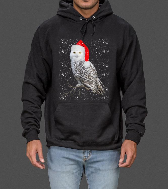 Awesome Christmas Snow Owl sweater