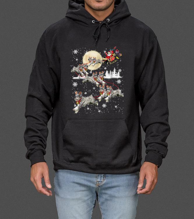 Nice Schnauzer Reindeer Christmas - Nice Dog sweater
