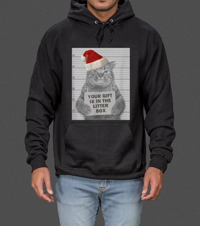 Original Grumpy Christmas Cat Mugshot Your Gift Is In The Litter Box sweater