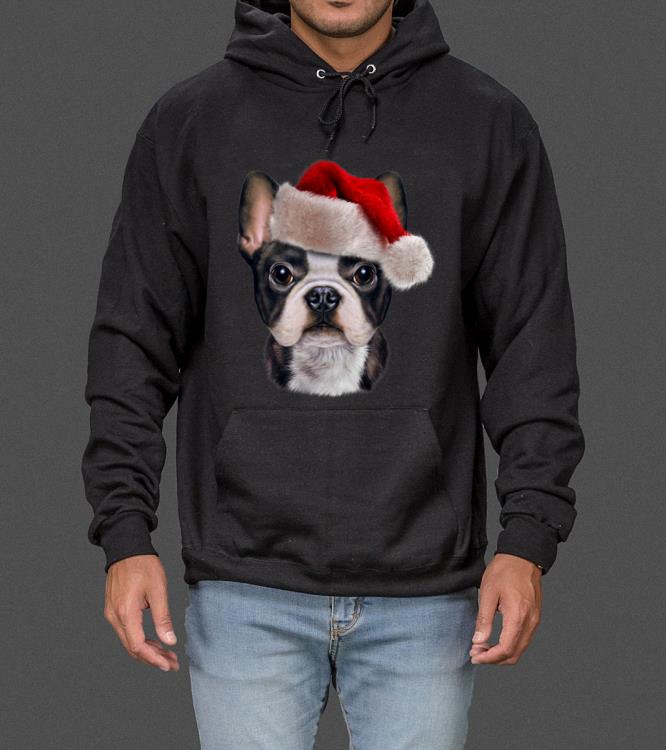 Pretty Cute French Bulldog wearing Santa Claus Hat on Christmas sweater