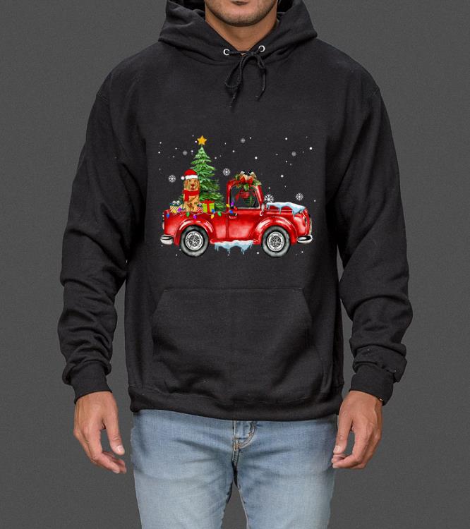 Pretty Labrador Retriever Dog Christmas Rides Red Truck Cute Gift sweater